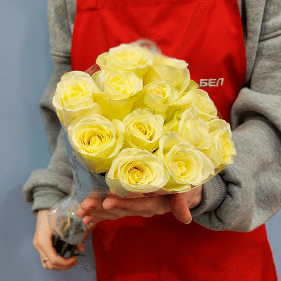 11 роз (белые 50 см) в пачке