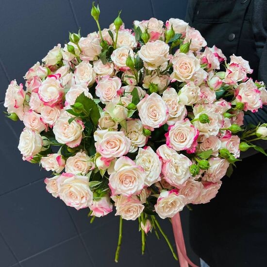 25 куст. роз (бело-розовые) с лентой