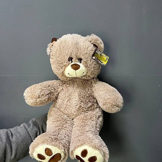 Медвежонок серый