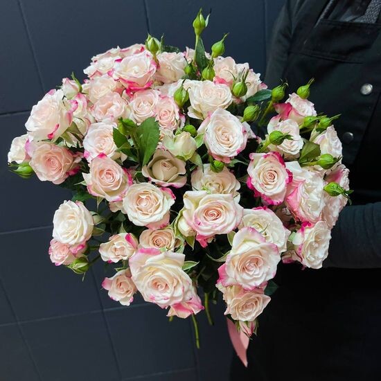 15 куст. роз (бело-розовые) в пачке