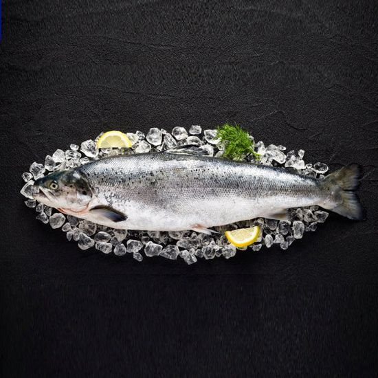 Сёмга потрошеная с головой