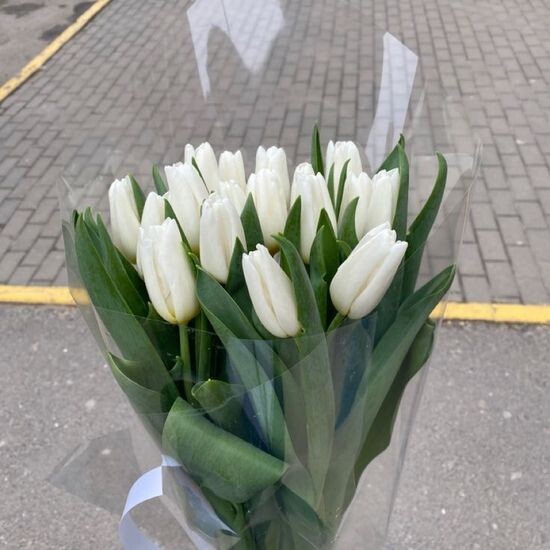 Пленка прозрачная