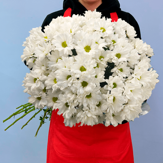 9 хризантем (Кеннеди)