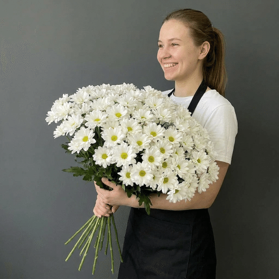 25 хризантем в пачке (Кеннеди)
