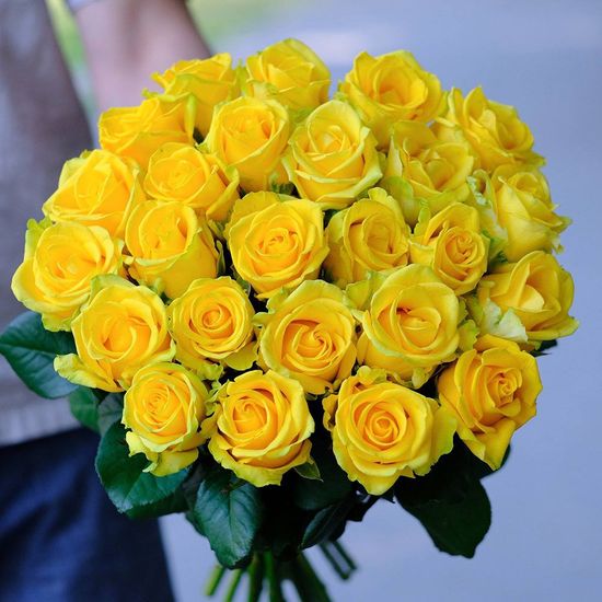 25 роз (жёлтые 40 см) в пачке