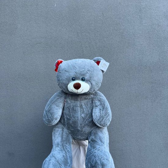 Медведь серый большой