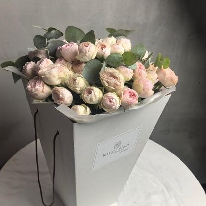 Коробка с аква боксом из 19 кустовых пионовидных роз Мэнсфилд Парк с эвкалиптом