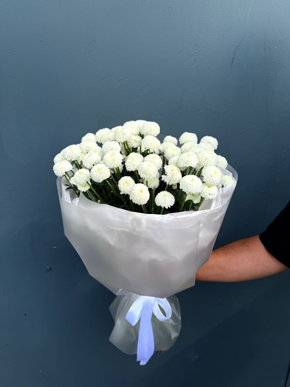 5 хризантем Ньютон с оформлением