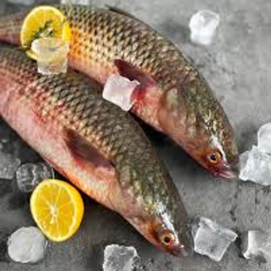 Кефаль неразделанная