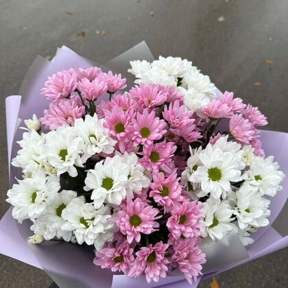 7 ромашек микс в упаковке