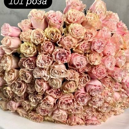 101 роза Pink Mondial 60 см