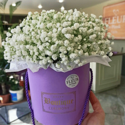 Композиция №5