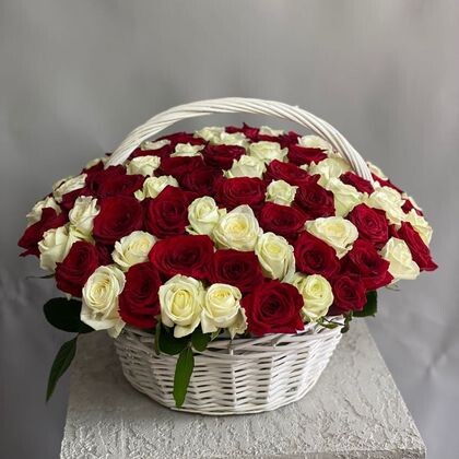 Корзина из 101 розы красные с белыми Эквадор
