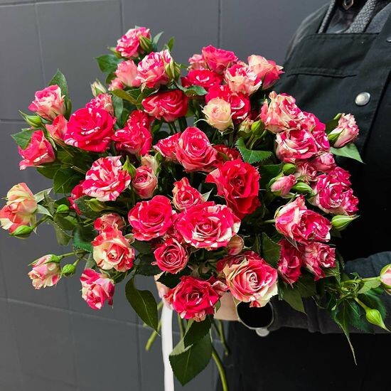 11 куст. роз (бело-красные) в пачке