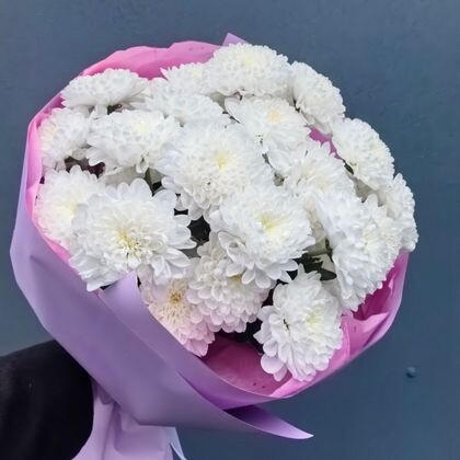 5 хризантем Алтай с оформлением