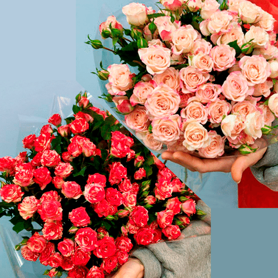 Роза кустовая (в ассортименте)