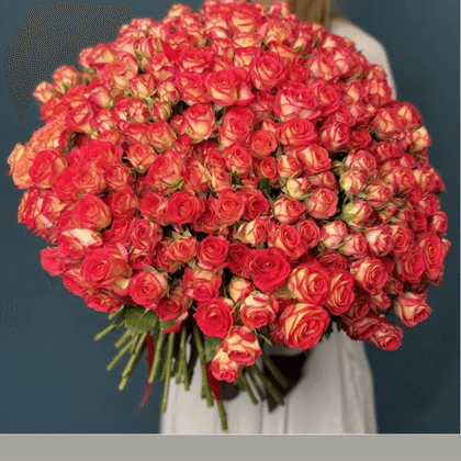 Кустовая роза Summer dance