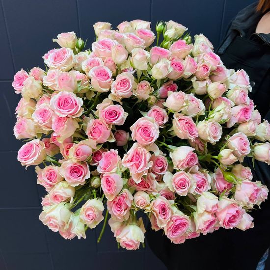 25 куст. роз (розовая Princess) с лентой