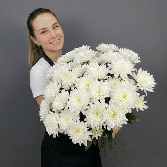 25 хризантем в пачке (Алтай)