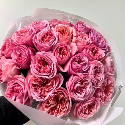 Пионовидная Роза Pink expression 60см