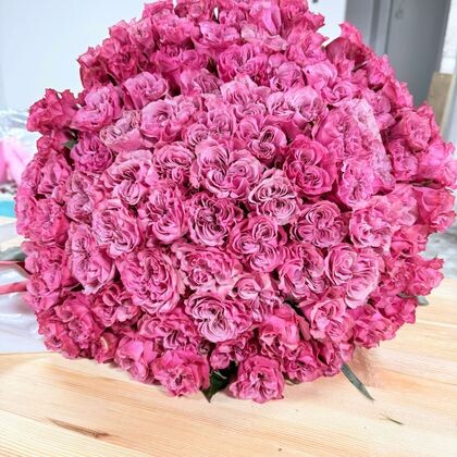 95 пионовидных роз Country Blues