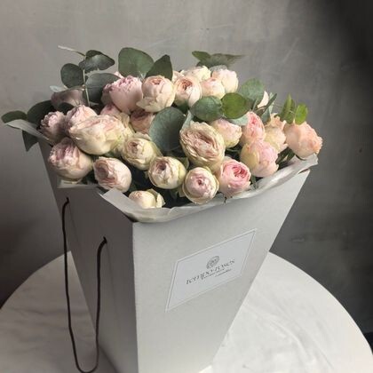 19 веток Мэнсфилд Парк с эвкалиптом в коробке с аква боксом