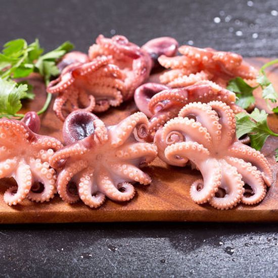 Молодые осьминоги