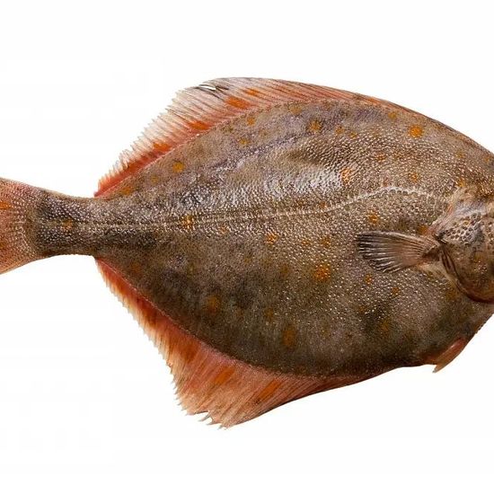 Камбала-ёрш потрошеный без головы