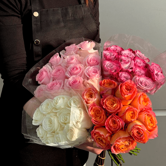 11 роз (Эквадор в ассортименте 50 см) в пачке