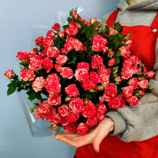 9 куст. роз (бело-красные) в пачке