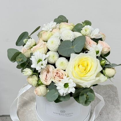 Коробка 100 (шляпная)