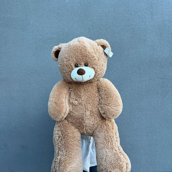 Медведь коричневый большой