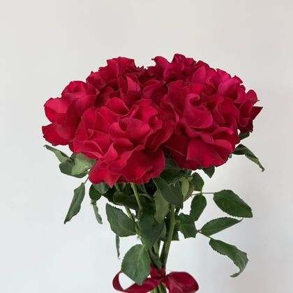 7 красных французских роз