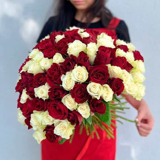 101 кр/бел роз 50 см с лентой (Гомель)