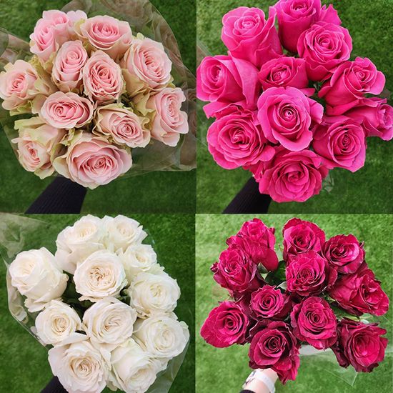 11 роз (Эквадор в ассортименте 50 см) в пачке