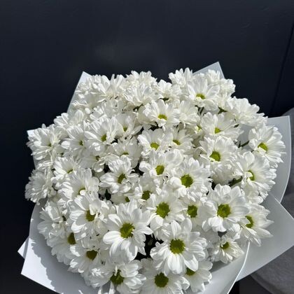 11 белых ромашковых хризантем в белом фоамиране