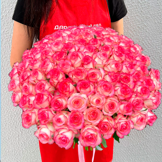 101 бело-розовая роза 40 см с лентой