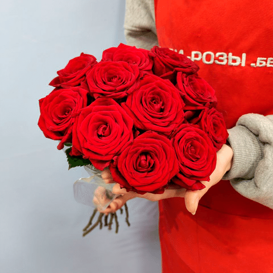 11 роз (Ред Наоми 50 см) в пачке