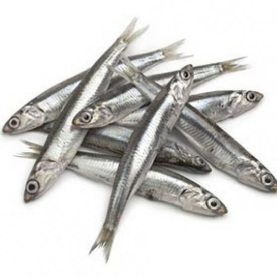 Мойва атлантическая неразделанная