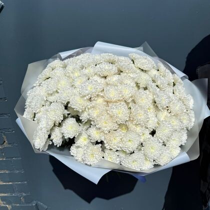 25 хризантем Алтай с оформлением