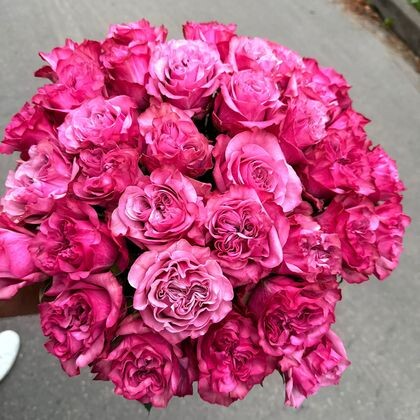 33 пионовидные розы Country Blues