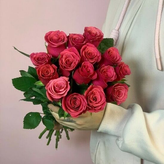 15 роз (малиновые 40 см) в пачке