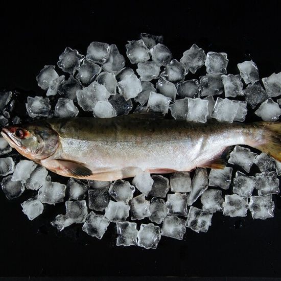 Горбуша неразделанная