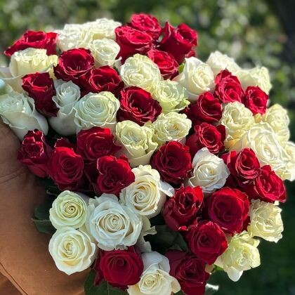 51 роза Mondial + Кения