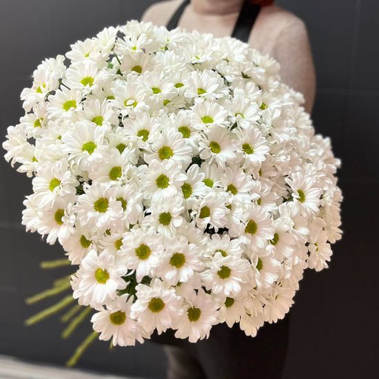 25 хризантем (Кеннеди)