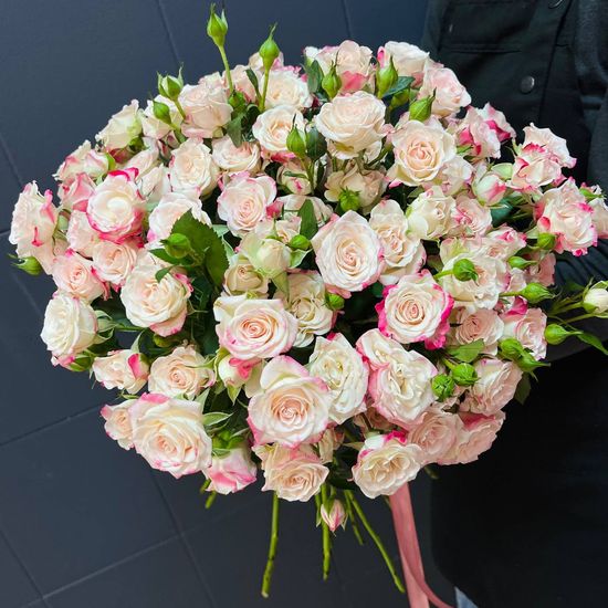 25 куст. роз (бело-розовые) с лентой