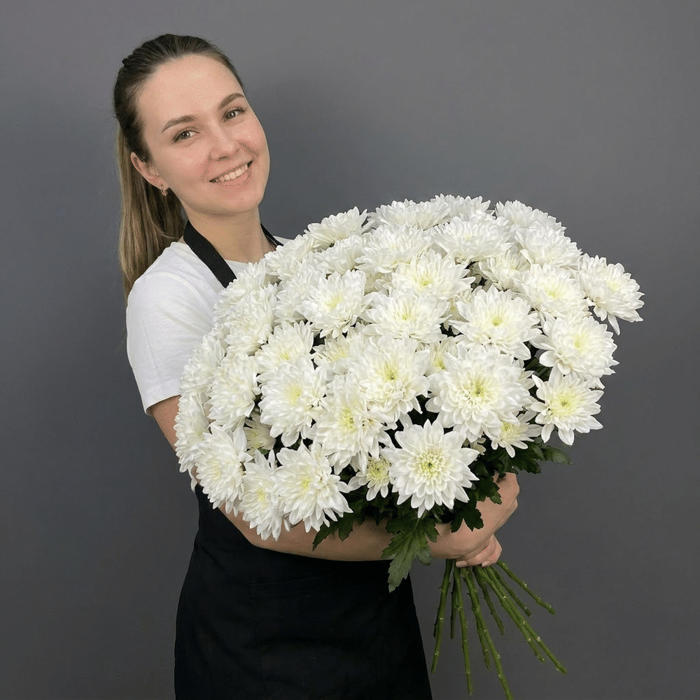 15 хризантем в пачке (Алтай)