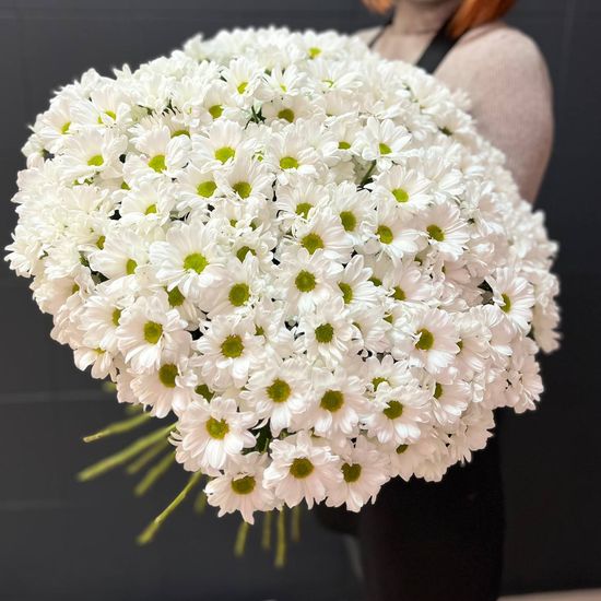 35 хризантем (Кеннеди)