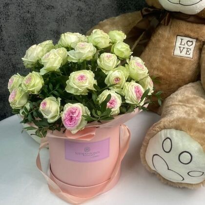 Шляпная коробка с кустовой пионовидной Джелато