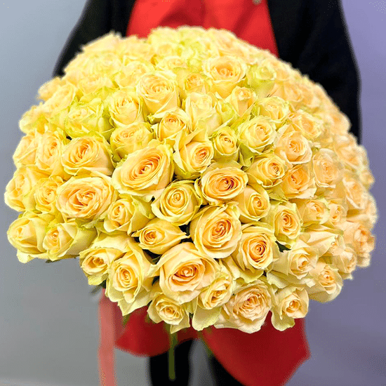 101 роза (Аваланш Пич 40 см) с лентой